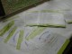 Thumbs/tn_Jahresabschlussfeier_MSV_Buna_2012 (1).jpg